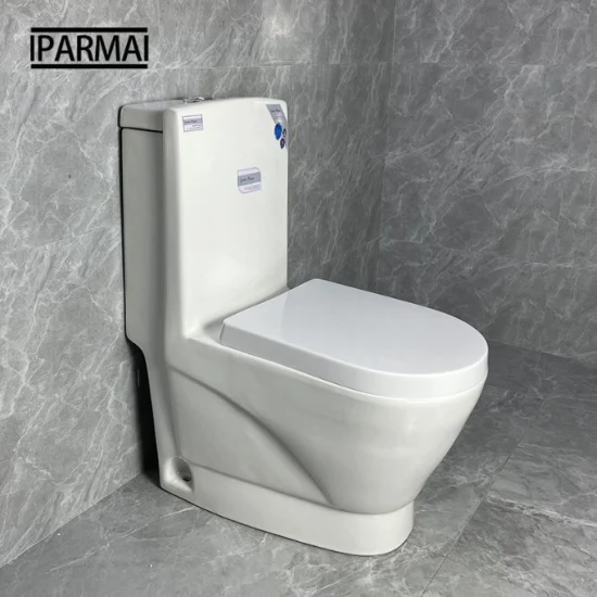 Piège en S de forme ronde, cuvette de toilette monobloc à lavage de 250mm, toilettes sanitaires montées au sol pour salle de bains