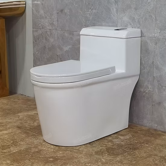 Toilettes en deux pièces en céramique sans monture siphoniques, toilettes à chasse d'eau d'hôtel familial de forme ronde